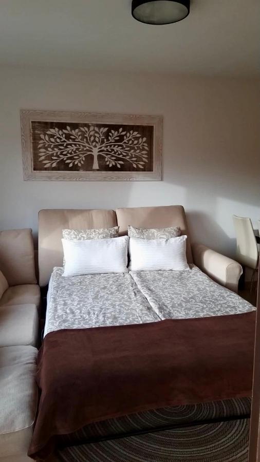 El Mocan Luxury Apartment 팔름-마르 외부 사진